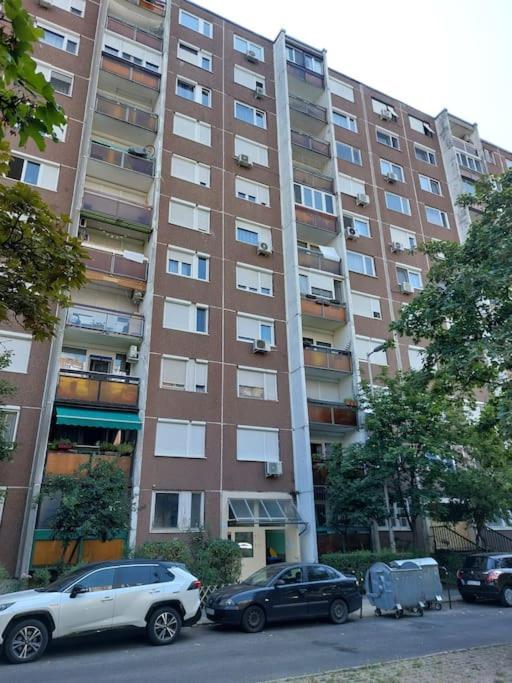 Erzsebet Apartman, Free Parking Budapest Exterior photo