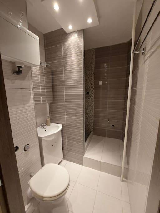 Erzsebet Apartman, Free Parking Budapest Exterior photo