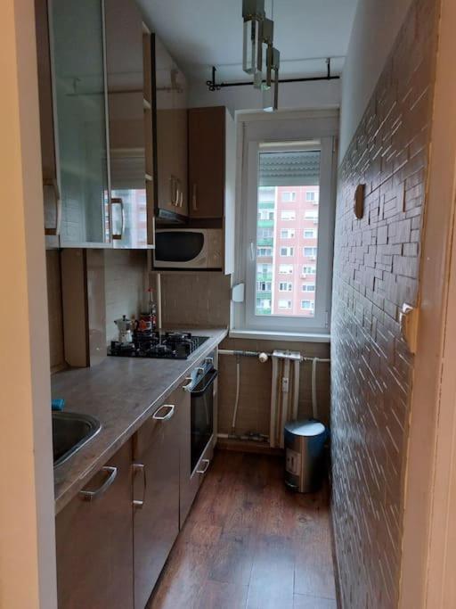 Erzsebet Apartman, Free Parking Budapest Exterior photo