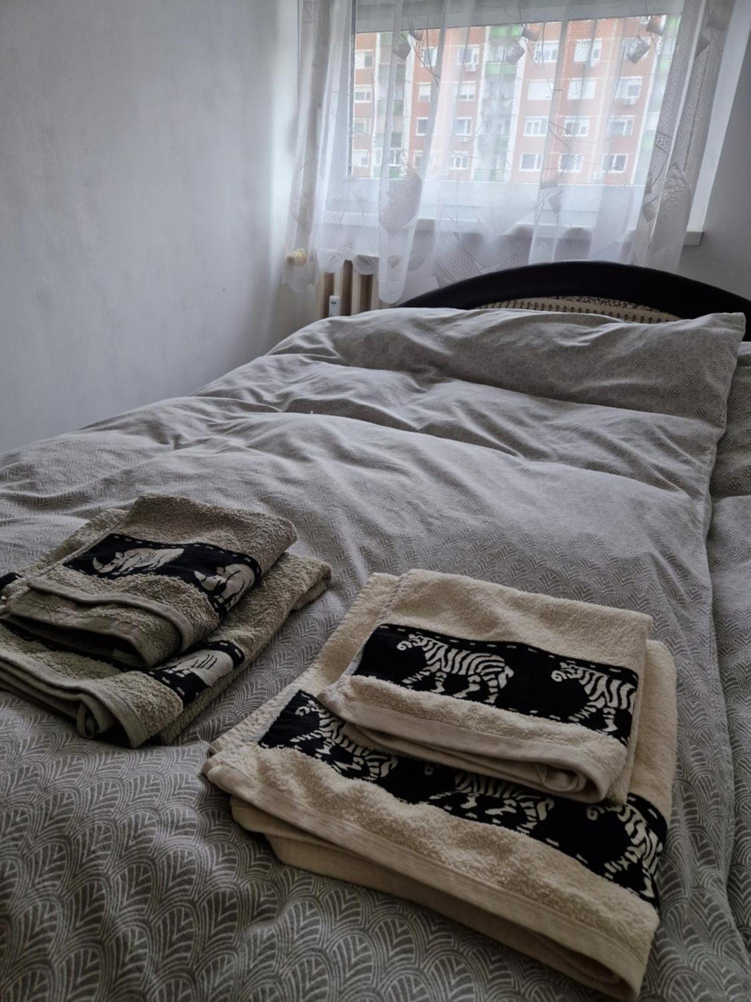 Erzsebet Apartman, Free Parking Budapest Exterior photo